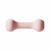 SheLift Dumbbells